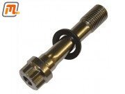 connecting rod bearing screw V6 3,0l  (